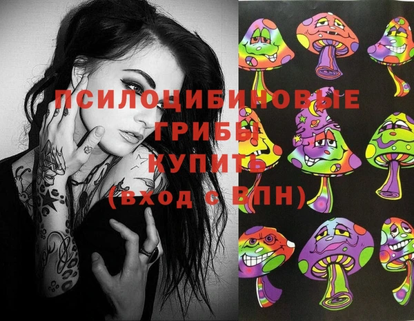 молекула духа Алзамай