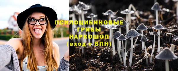 бутират Алексин