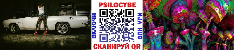 купить наркотики сайты  Гаджиево  Псилоцибиновые грибы GOLDEN TEACHER 